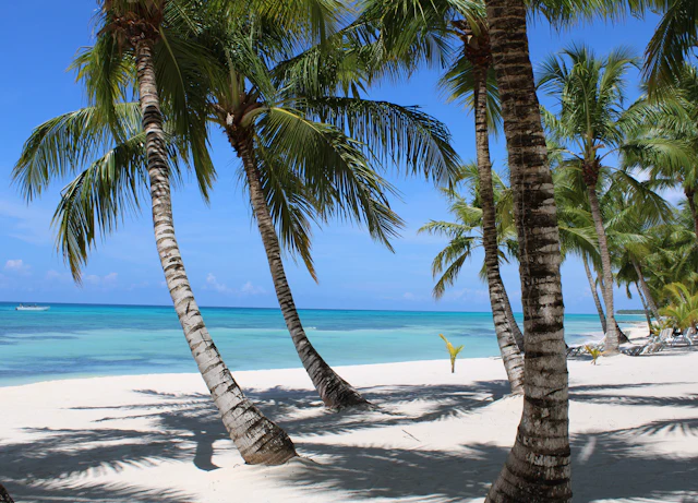 Punta Cana